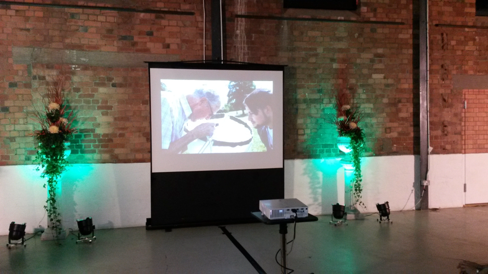 Projection Screen
